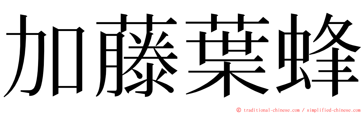 加藤葉蜂 ming font