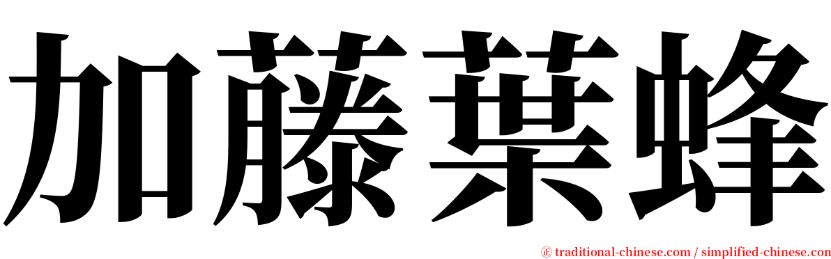 加藤葉蜂 serif font