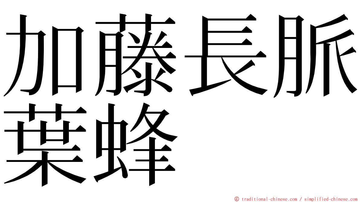 加藤長脈葉蜂 ming font