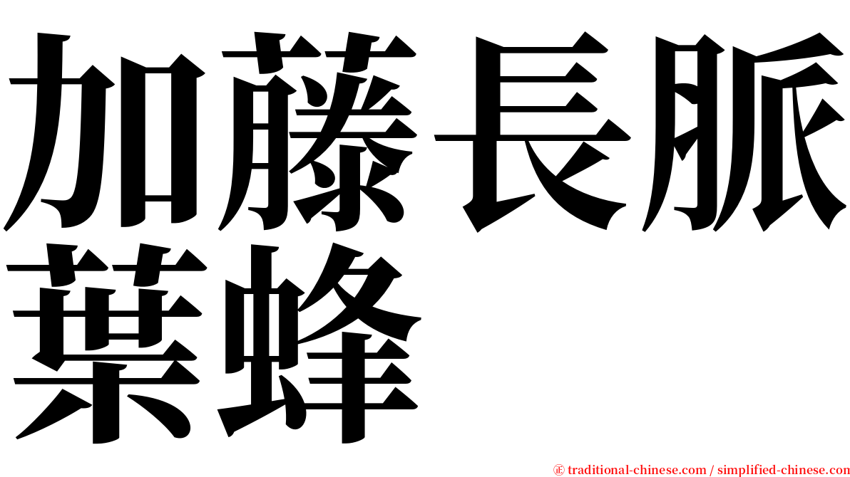 加藤長脈葉蜂 serif font