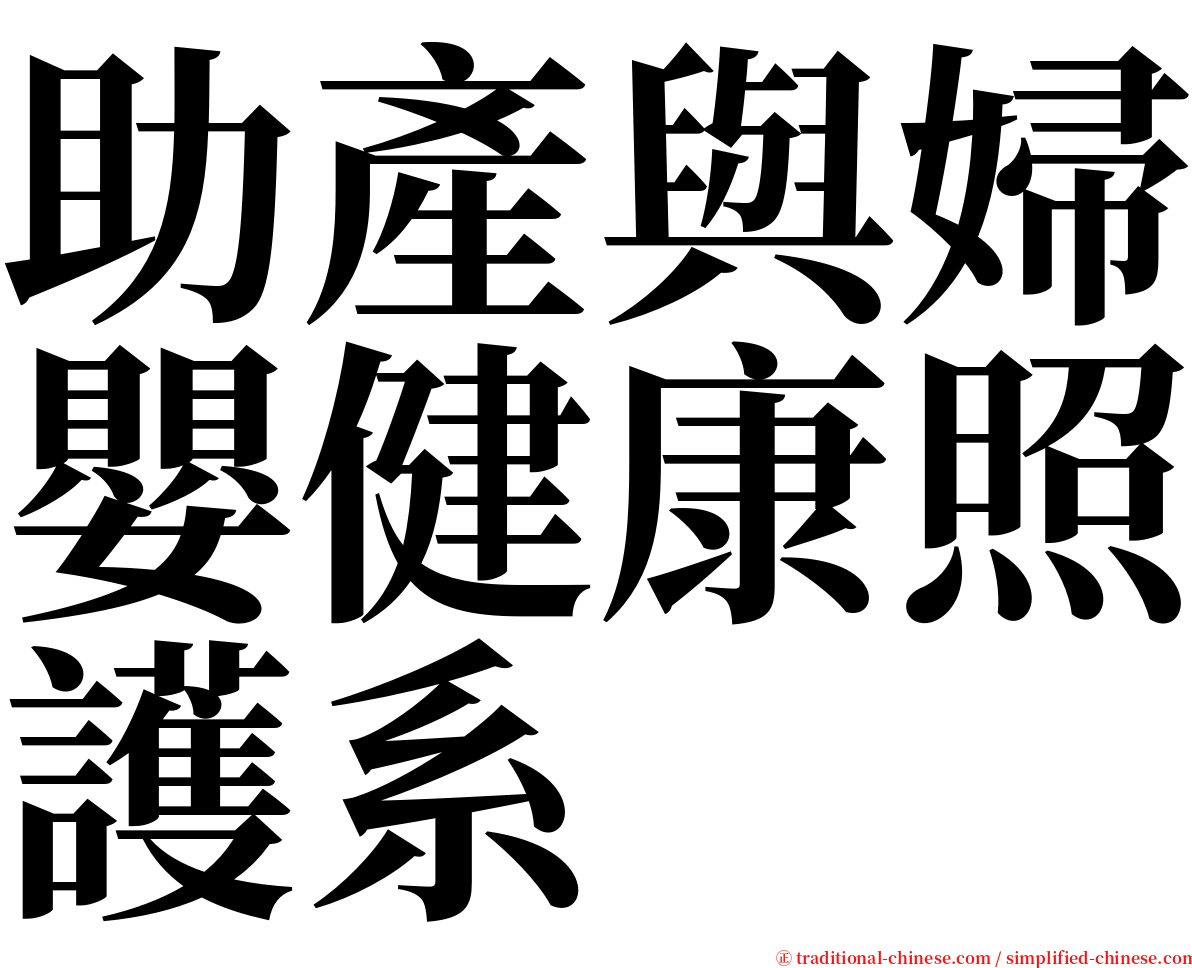 助產與婦嬰健康照護系 serif font