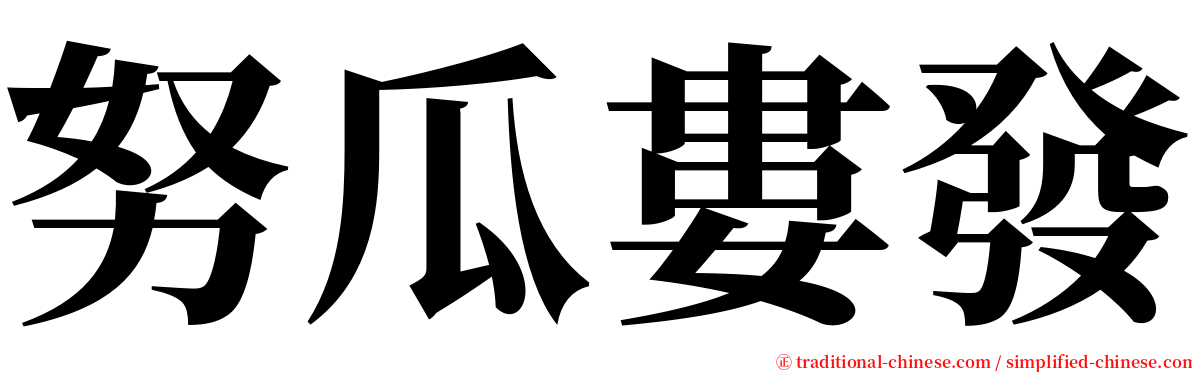 努瓜婁發 serif font