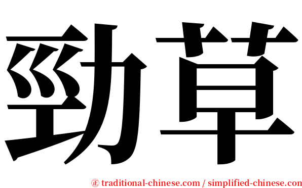 勁草 serif font