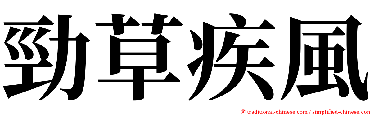 勁草疾風 serif font