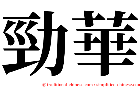 勁華 serif font