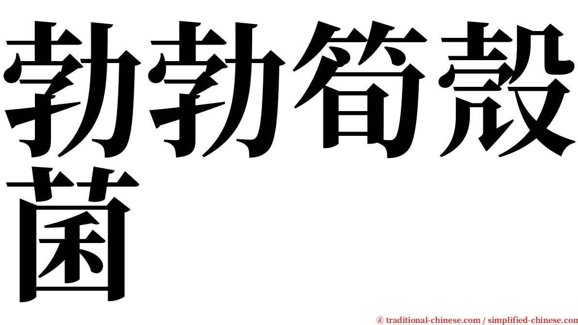 勃勃筍殼菌 serif font