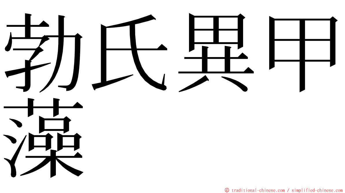 勃氏異甲藻 ming font