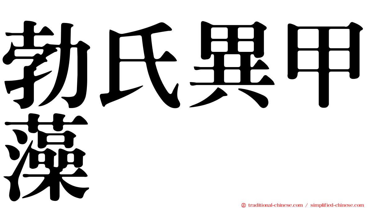 勃氏異甲藻