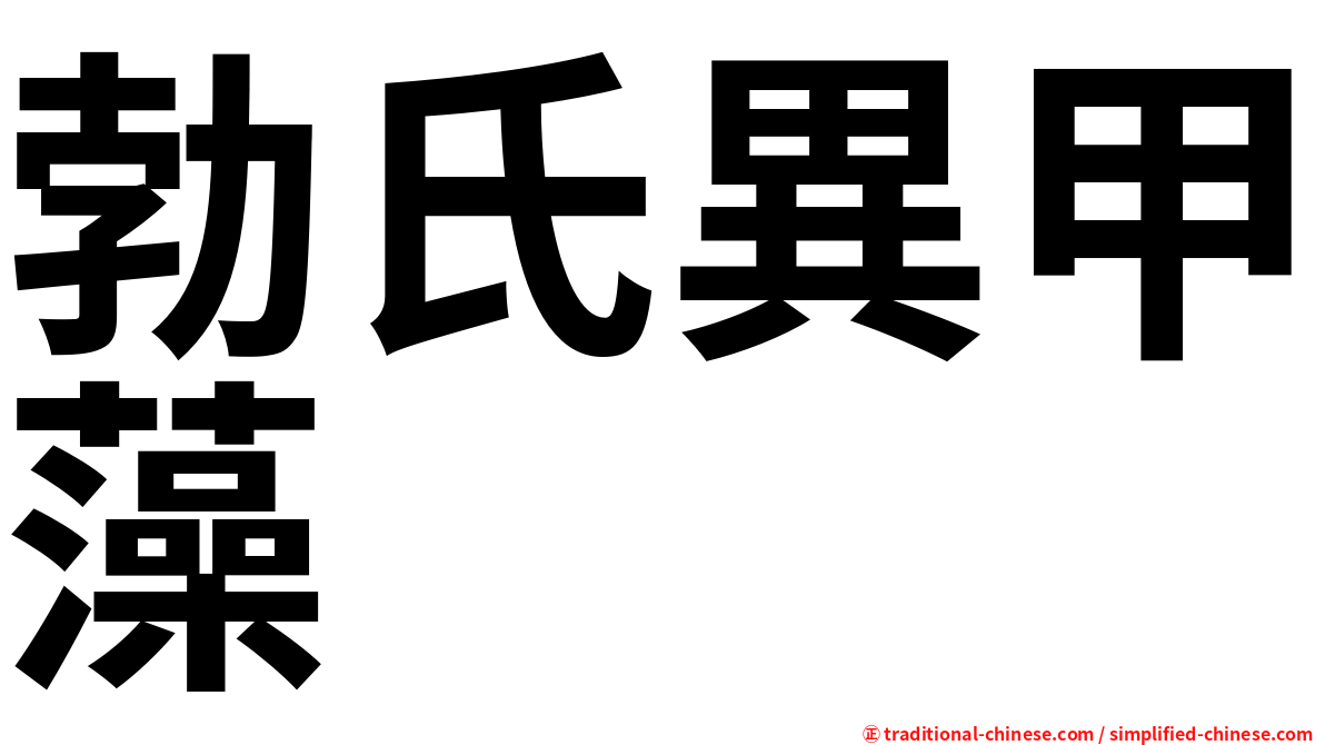 勃氏異甲藻