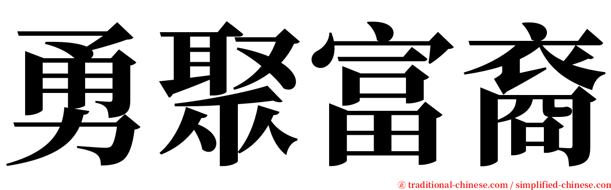 勇聚富裔 serif font