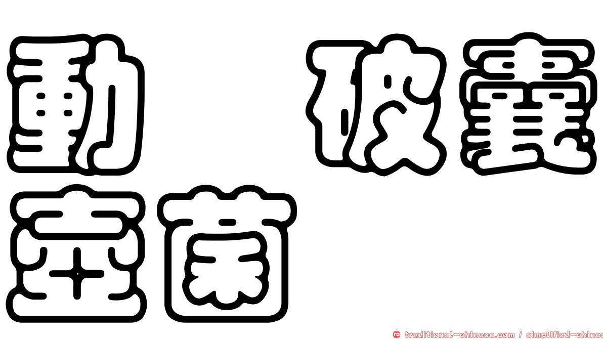 動孢破囊壺菌