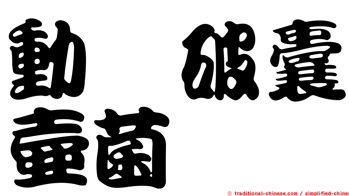 動孢破囊壺菌