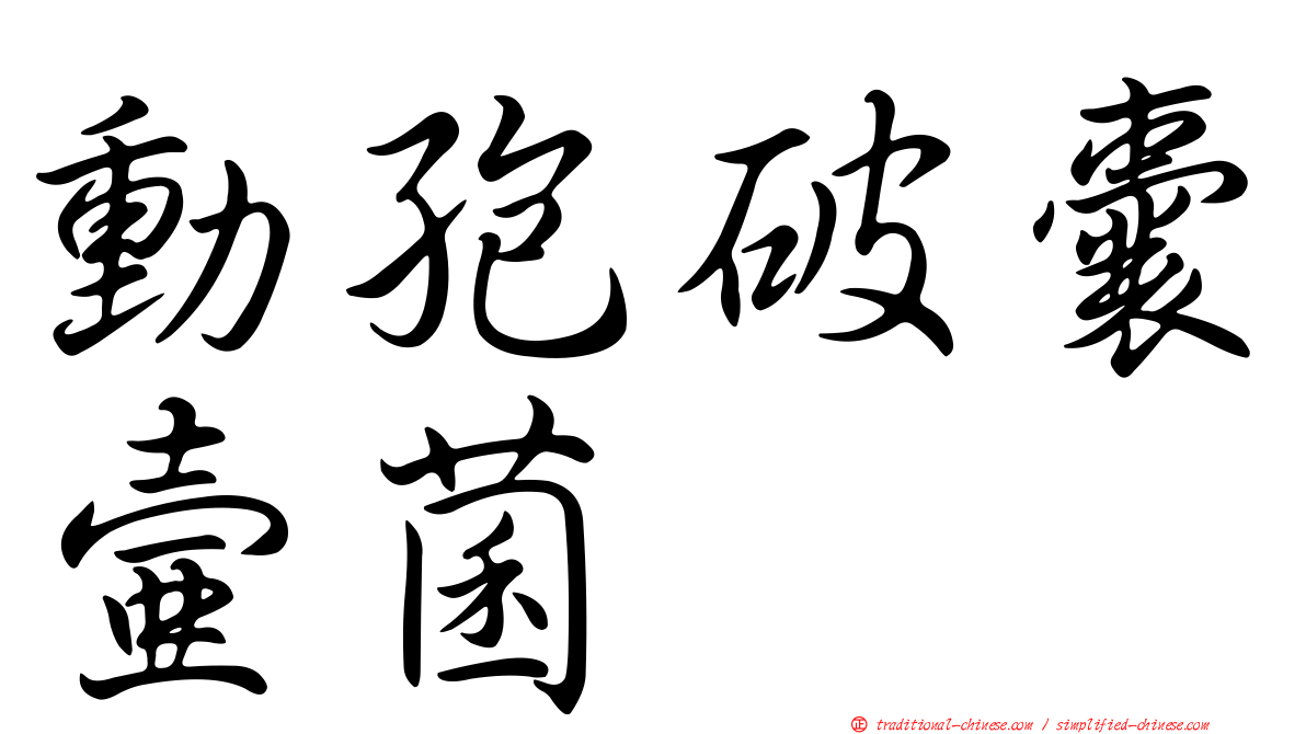 動孢破囊壺菌
