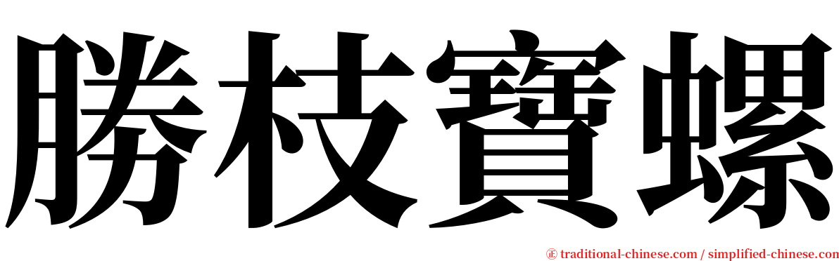 勝枝寶螺 serif font