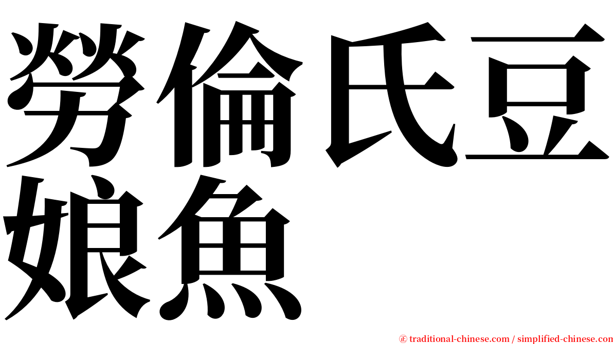 勞倫氏豆娘魚 serif font