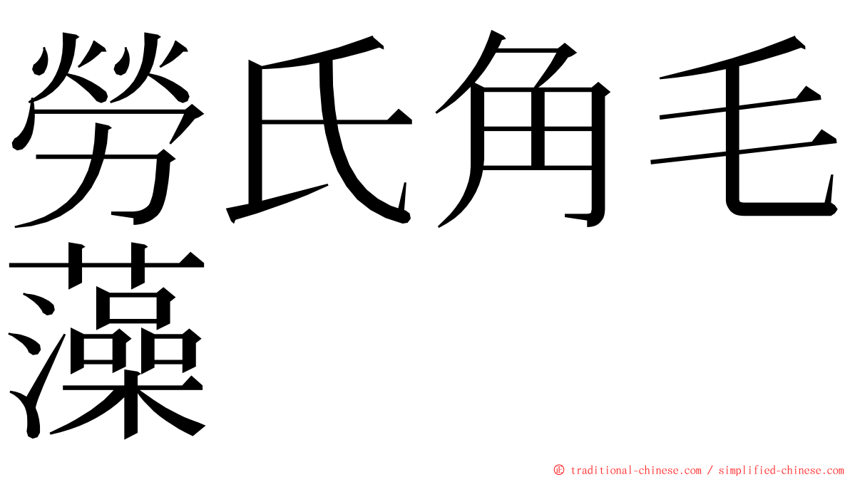 勞氏角毛藻 ming font