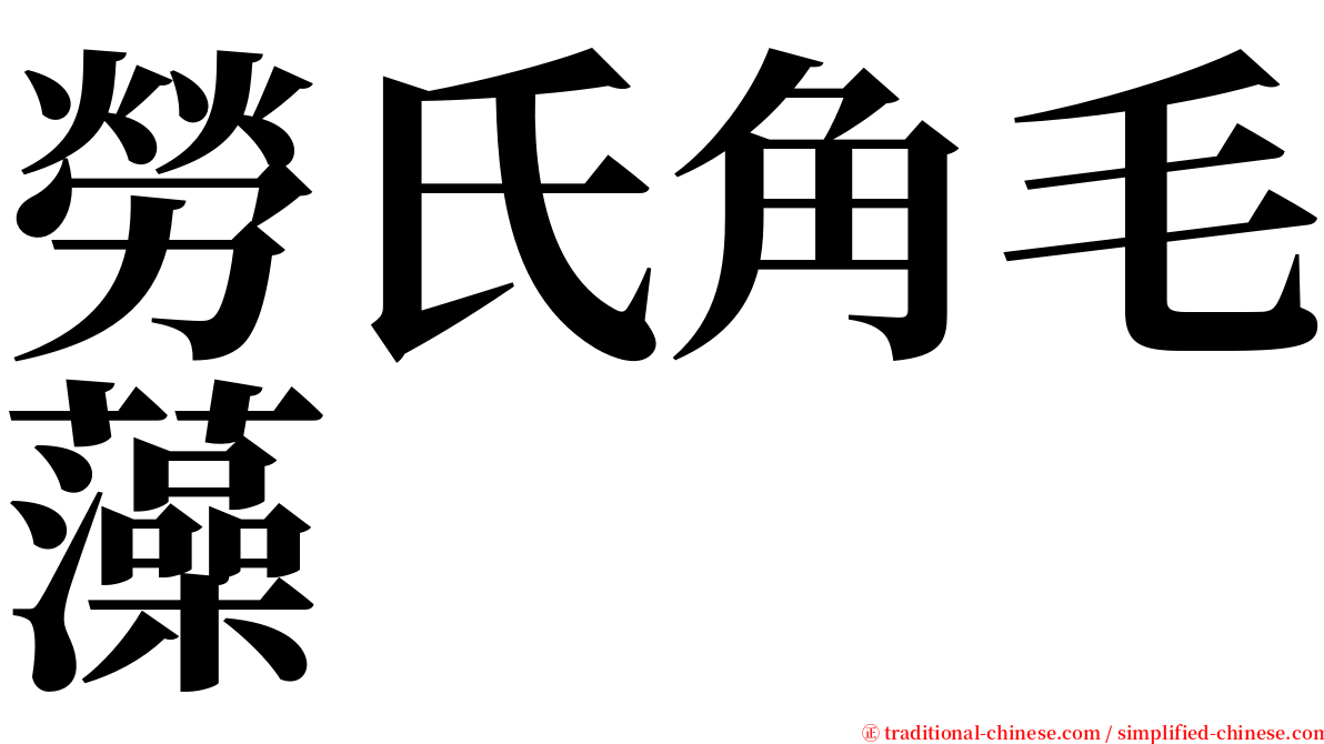 勞氏角毛藻 serif font
