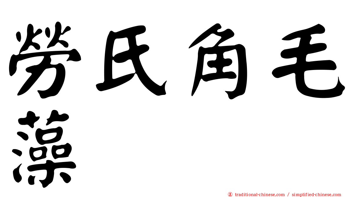 勞氏角毛藻