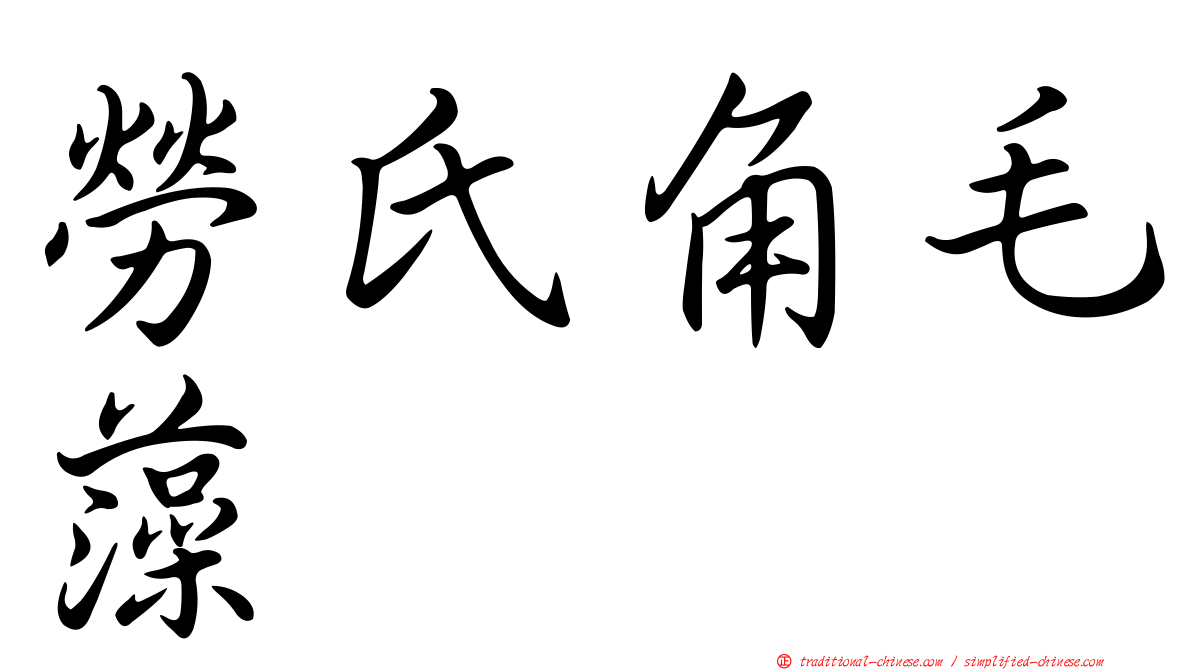 勞氏角毛藻