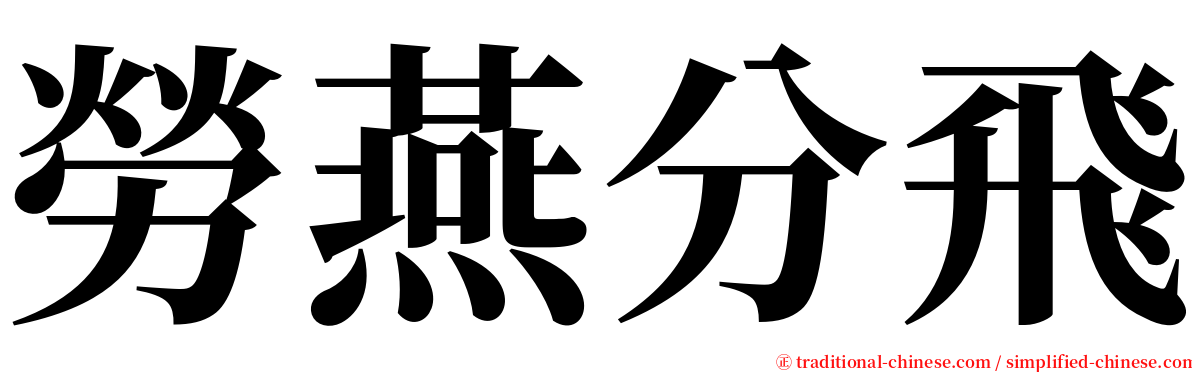 勞燕分飛 serif font