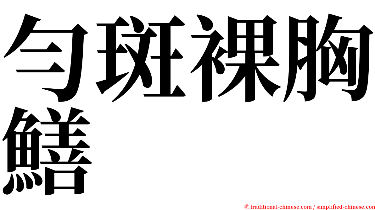 勻斑裸胸鱔 serif font