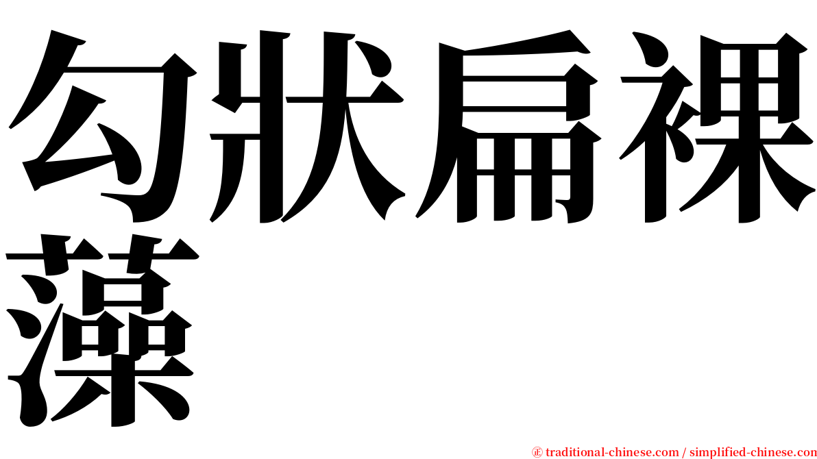 勾狀扁裸藻 serif font