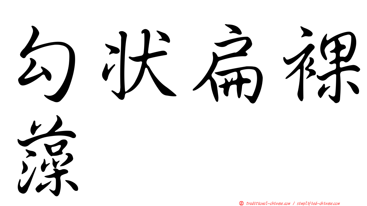 勾狀扁裸藻