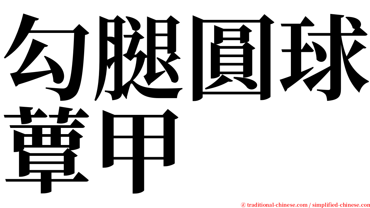 勾腿圓球蕈甲 serif font