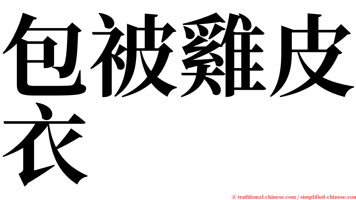 包被雞皮衣 serif font