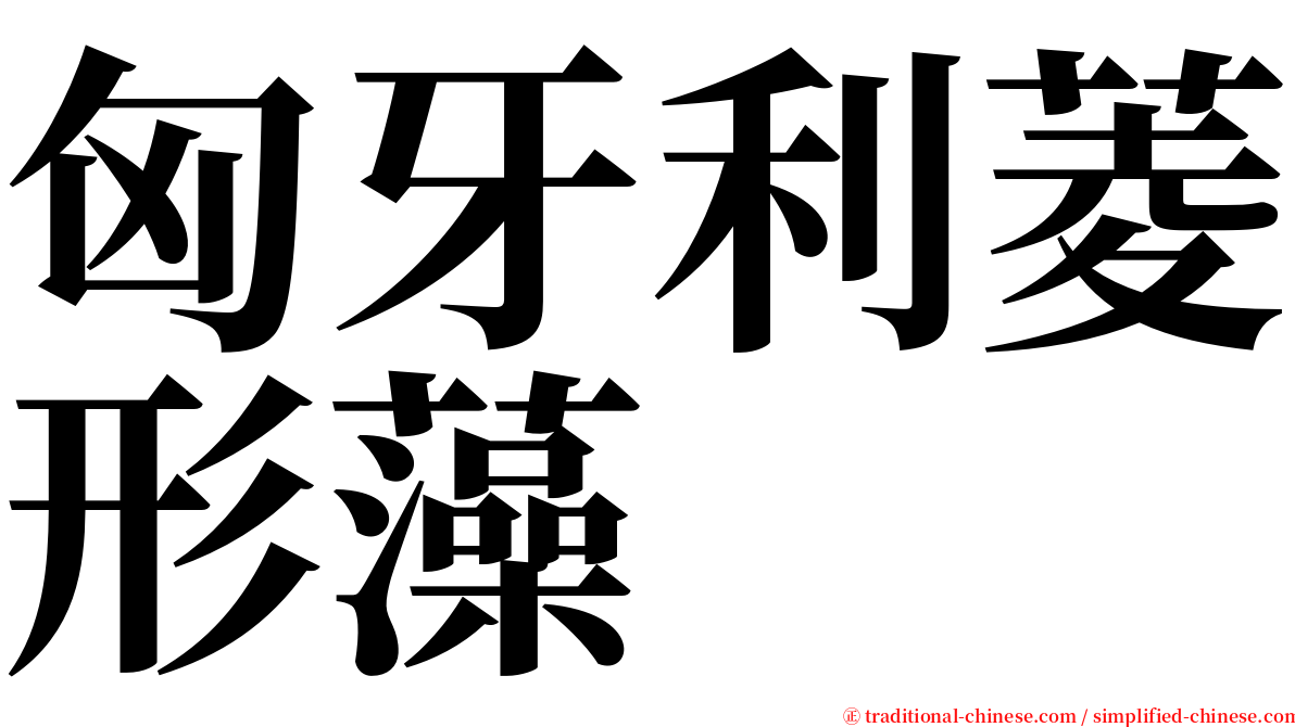 匈牙利菱形藻 serif font