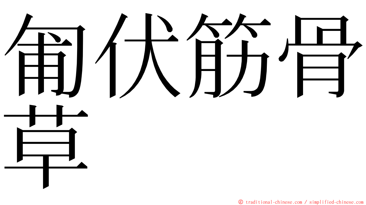 匍伏筋骨草 ming font