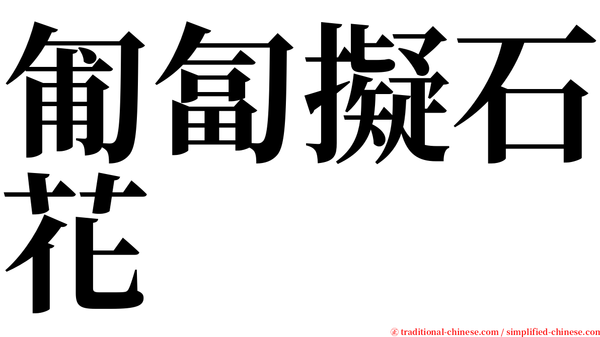 匍匐擬石花 serif font