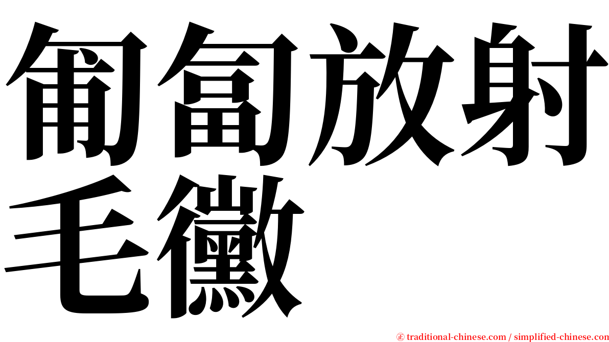 匍匐放射毛黴 serif font