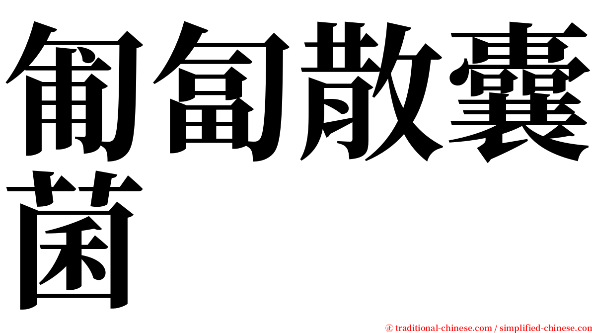匍匐散囊菌 serif font