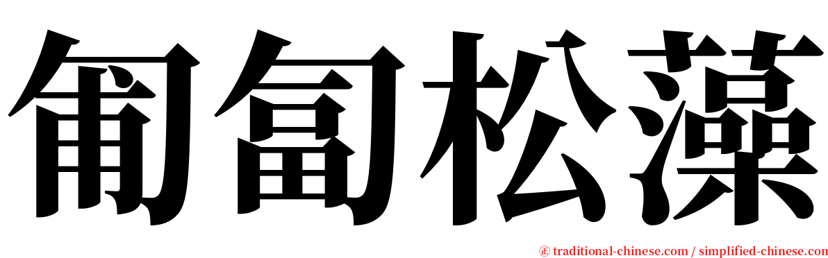 匍匐松藻 serif font