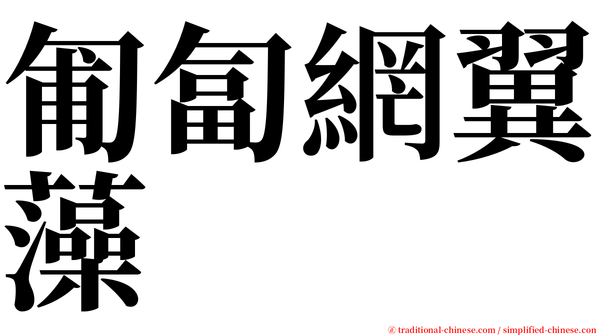 匍匐網翼藻 serif font