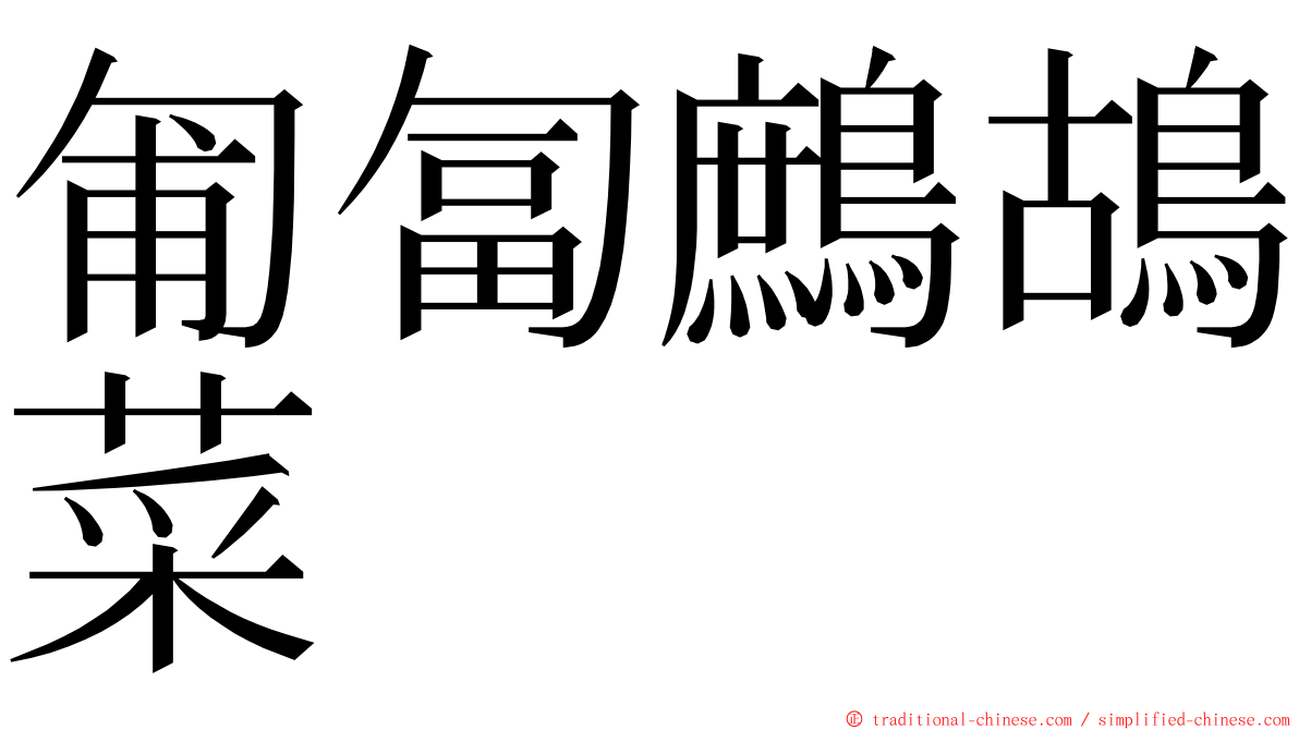 匍匐鷓鴣菜 ming font