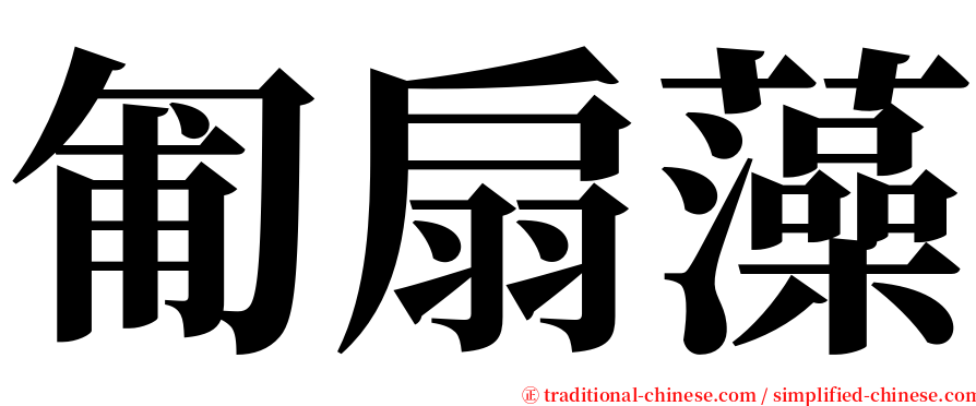 匍扇藻 serif font