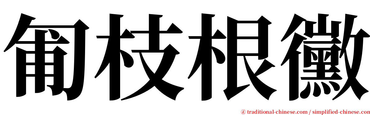 匍枝根黴 serif font