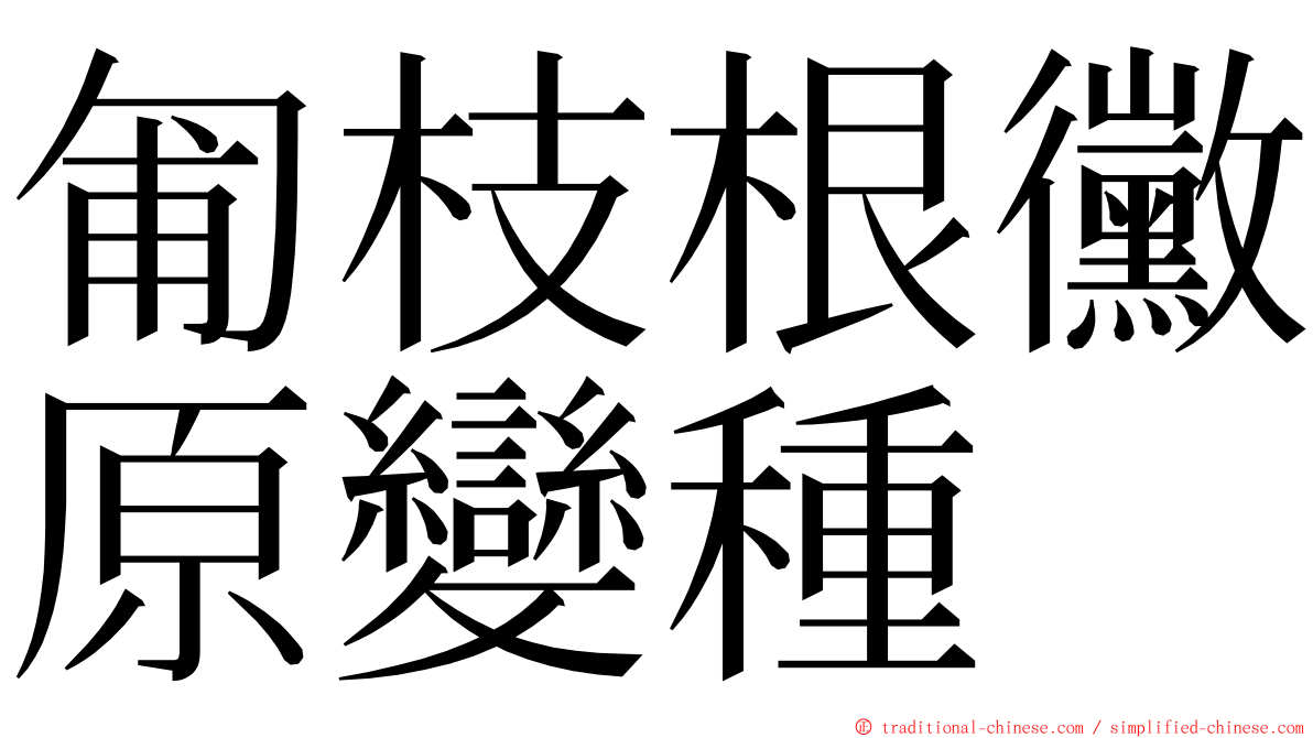 匍枝根黴原變種 ming font