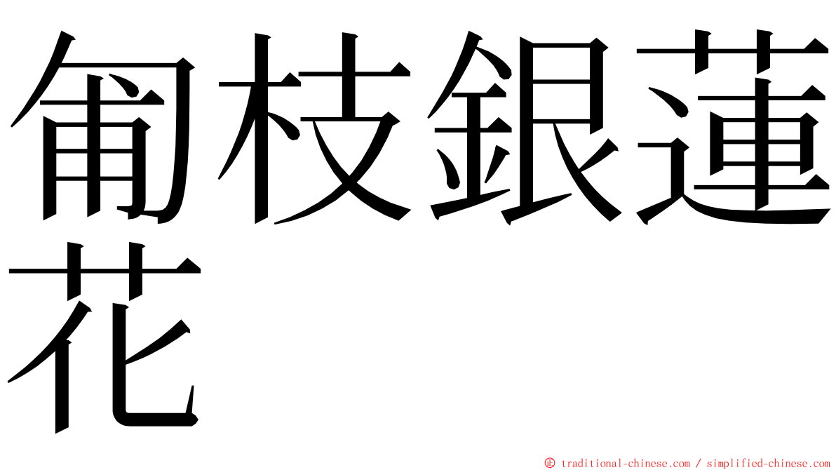 匍枝銀蓮花 ming font