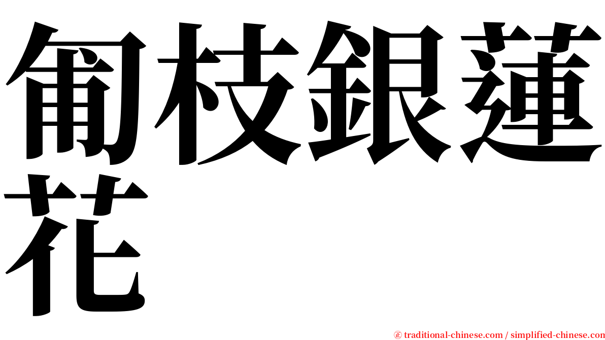 匍枝銀蓮花 serif font