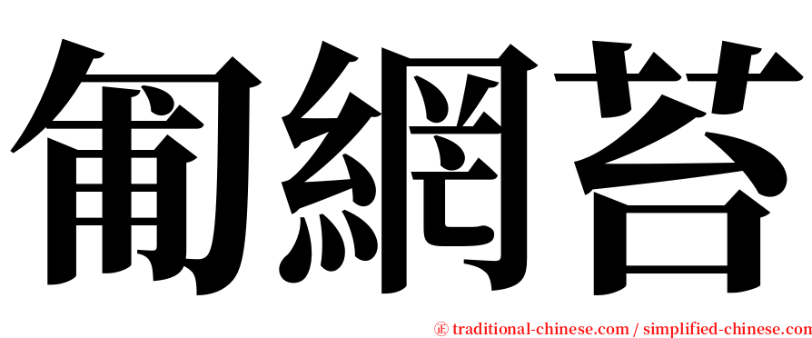 匍網苔 serif font