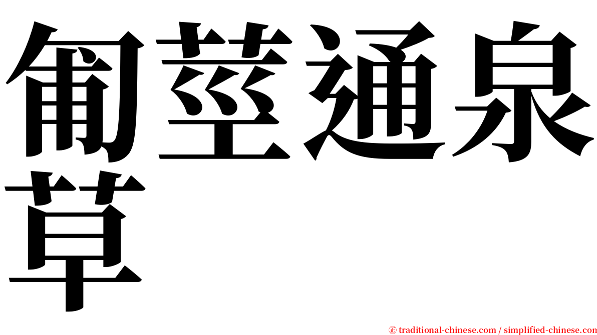 匍莖通泉草 serif font