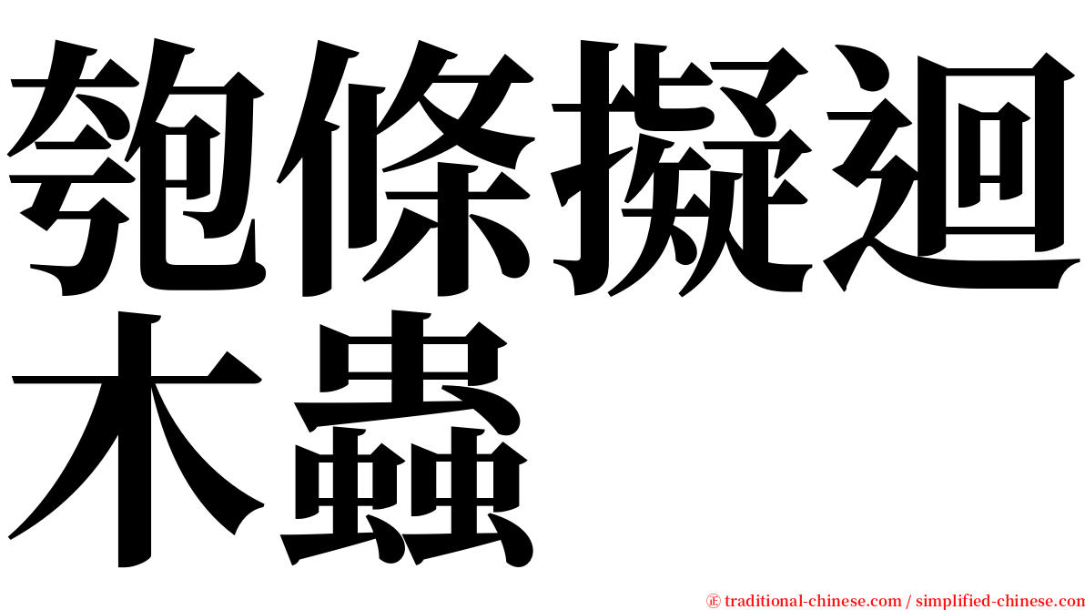 匏條擬迴木蟲 serif font