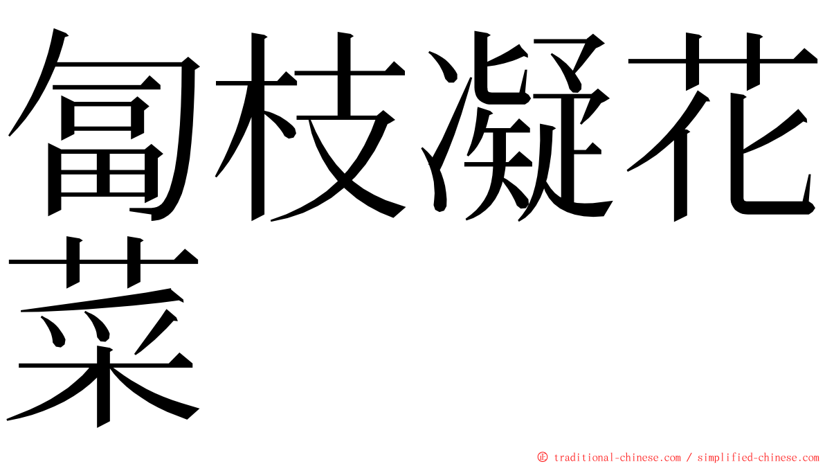 匐枝凝花菜 ming font