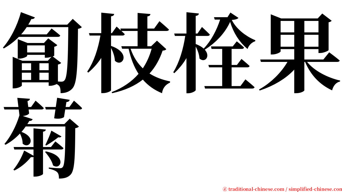 匐枝栓果菊 serif font