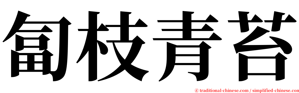 匐枝青苔 serif font