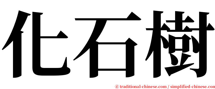 化石樹 serif font