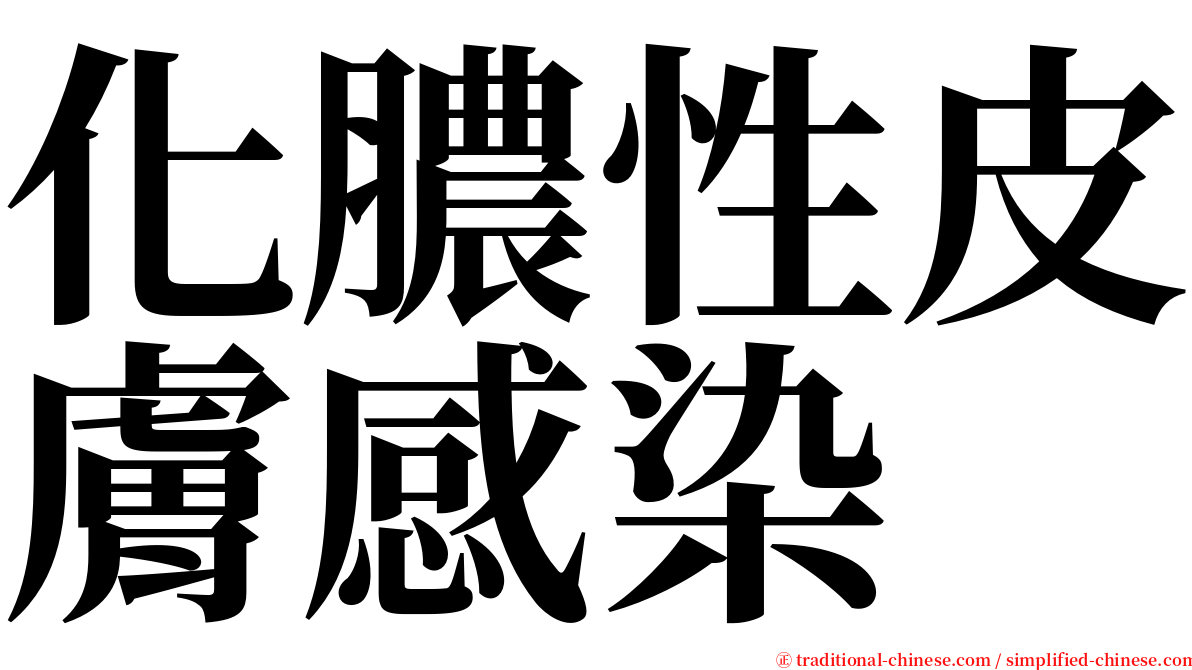 化膿性皮膚感染 serif font